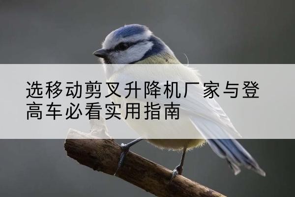 西陵电动升降机厂家-选移动剪叉升降机厂家与登高车必看实用指南