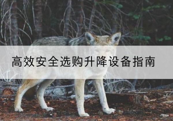 西陵升降货梯厂家推荐-*安全选购升降设备指南